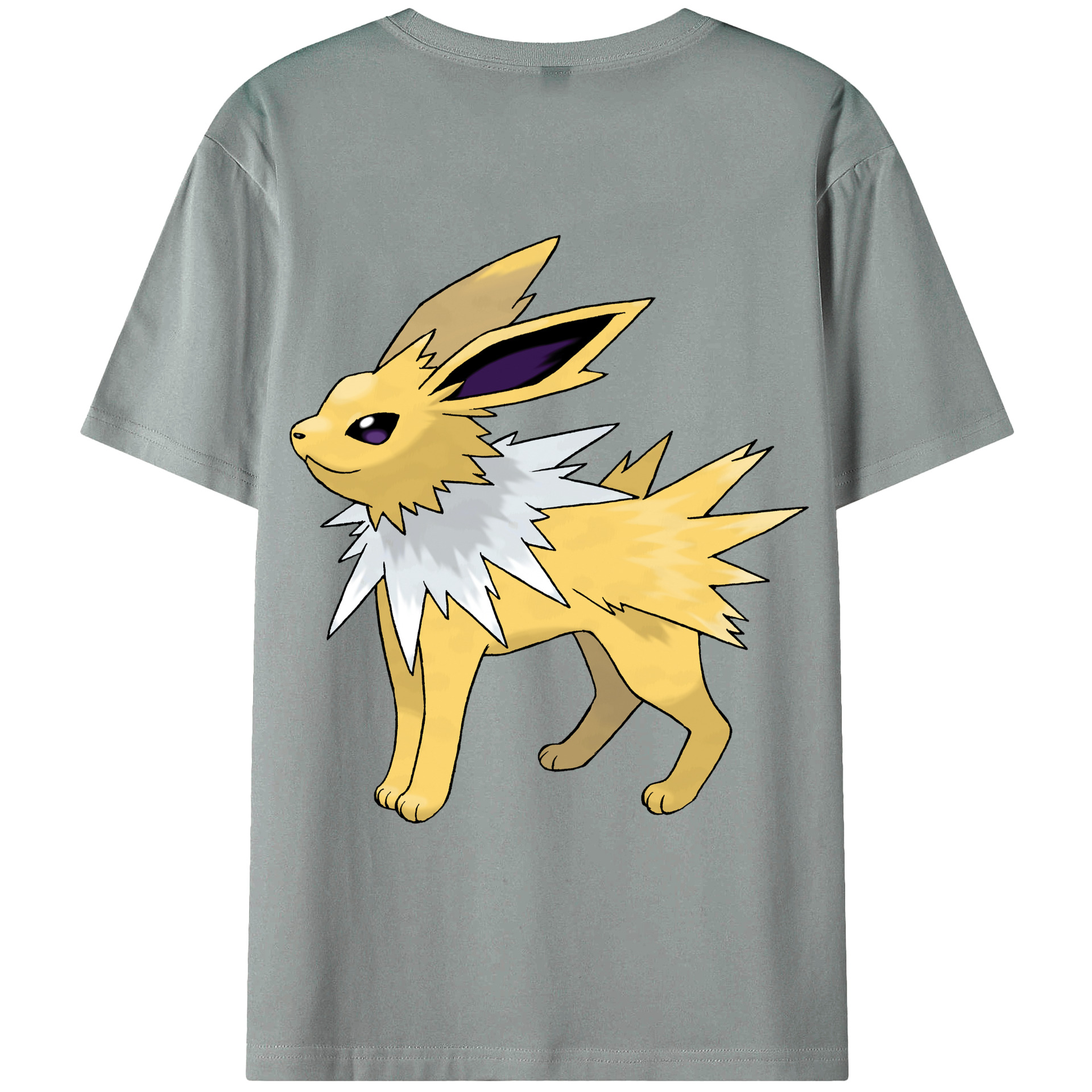（画像用） ポケットモンスター Pokémon 綿100％ メンズ半袖Tシャツ（バックプリント） 通気性